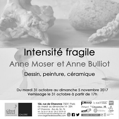 Intensité fragile - Anne MOSER Anne BULLIOT